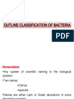 Outline Classification of Bacteria Outline Classification of Bacteria