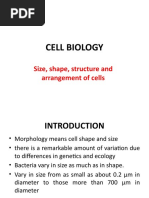 Cell Biology: Size, Shape, Structure and Arrangement of Cells