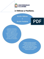 Acción Oblicua y Pauliana: Derechos del Acreedor