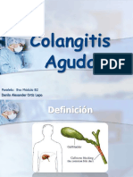 Colangitis 140726045207 Phpapp02