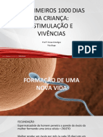 OS PRIMEIROS 1000 DIAS DA CRIANÇA (1)