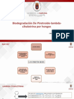 Biodegradación de Piretroide-Lambda-Cihalotrina