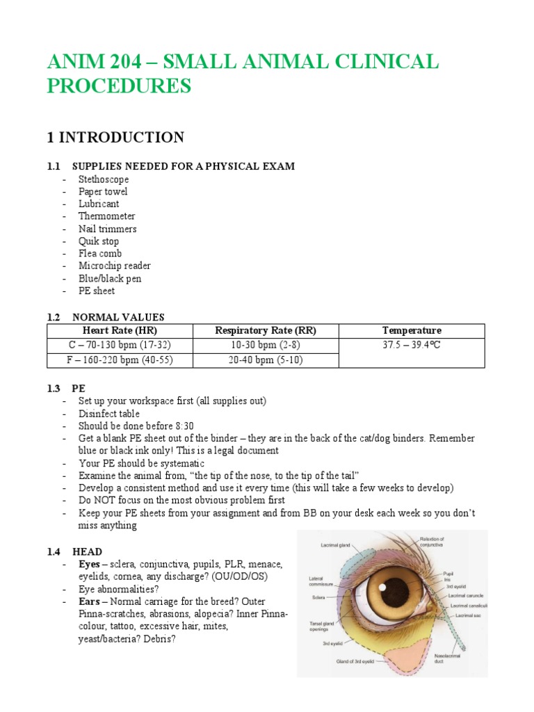 A Guide to Common Small Animal Clinical Procedures Physical Exams