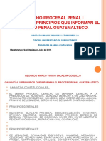 1) Presentación Garantías Principios Que Informan El Proceso Penal. Julio 2017