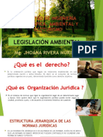 legislación ambiental (1)