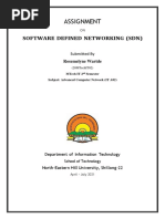 Assignment: Software Defined Networking (SDN)