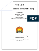 Assignment: Software Defined Networking (SDN)