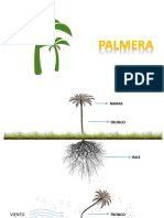 Resiliencia - La Palmera