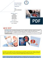 Complicaciones A Corto Plazo en El Trasplante Renal.