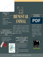 Bienestar Animal