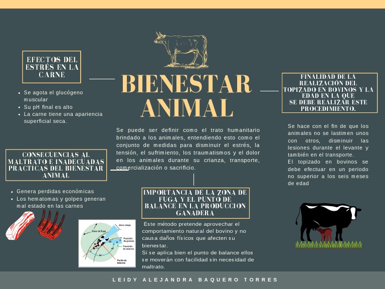 Bienestar Animal | PDF | Bienestar de los animales | Carne