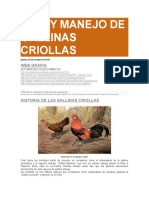 Cria y Manejo de Gallinas Criollas