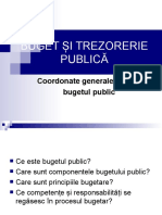 Buget Si Trezorerie Publica_1