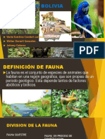 La Fauna en Bolivia