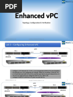 Enhanced VPC: Topology, Configuration & Verification