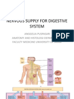 Nervous Supply For Digestive System