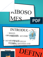 Riboso MES: Ibosome S