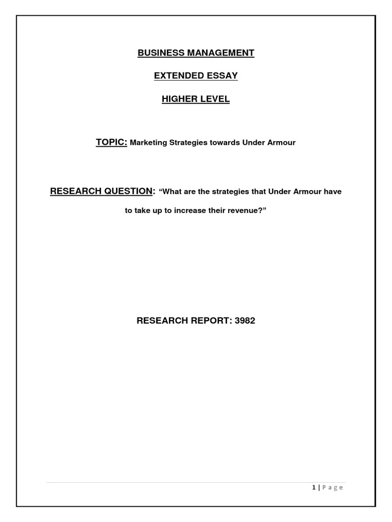 Business Management Extended Essay Higher Level Marketing Strategies