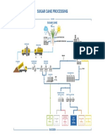 Sugar Cane Processing