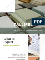 Callipel: Venturing Into Sustainable Business Model