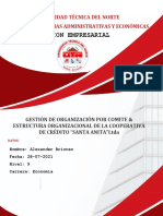 Alexander Briones - 1 Estructura Organizacional Por Comite - 28-07-2021