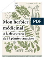 L'Alchemille - Herbier Plantes médicinales