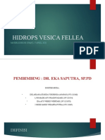 APR - 17 - 20 - Hidrops Vesica Fellea