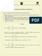 ALGEBRA - U2. Ejercicios Integración Matrices y Determinantes