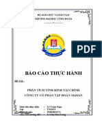 Báo Cáo Thực Hành: Phân Tích Tình Hình Tài Chính Công Ty Cổ Phần Tập Đoàn Masan