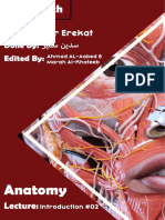 Anatomy #02
