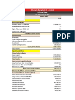 Pro Forma Financial Statement of Olympic BD