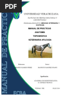 Historia de La Anatomia Animal Comparada | PDF | Aristóteles ...