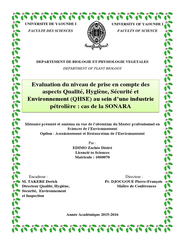 Memoire Edimo Zache Dsir | PDF | Distillation | Pétrole