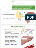 T-15 Gluconeogenesis. Bioquimica