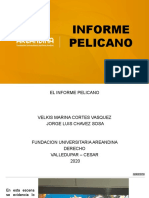 Informe Pelicano