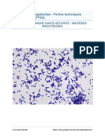 Streptococcus Agalactiae