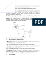 La Neurona Es La Célula Fundamental y Básica Del Sistema Nervioso