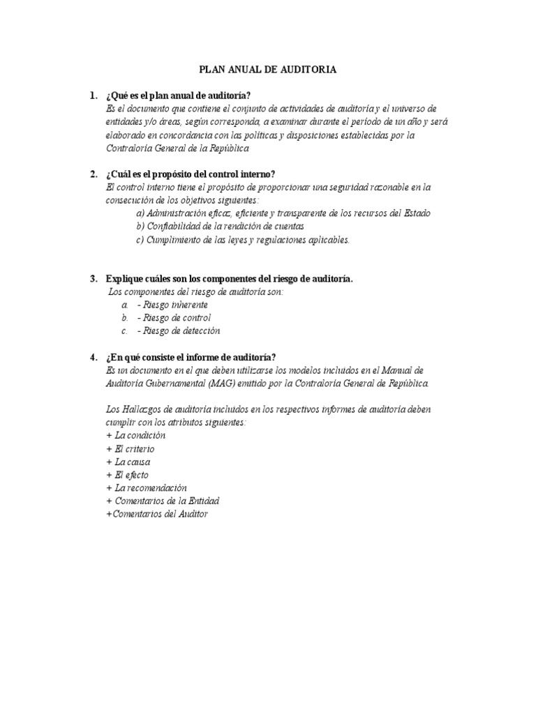 Plan Anual de Auditoría: Guía y Propósitos | PDF