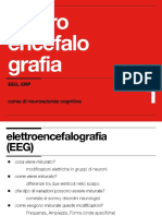 Elettro Encefalo Grafia: Eeg, Erp Corso Di Neuroscienze Cognitive
