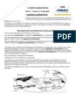 Ficha 5 Ciencia y Tecnologia