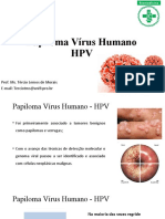 HPV Vírus Papiloma Humano