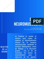 Placa neuromuscular y sinapsis
