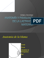 Anatomía y Fisiología de La Lactancia Materna