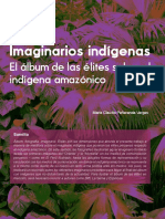 Imaginarios indígenas