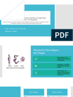Meningoencefalitis - Chagas