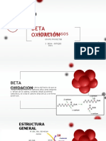 Beta Oxidacion de Acidos Grasos