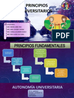 Principios Universitarios, Exposición