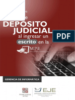 Cartilla Registro de Depositos Judiciales ESCRITO