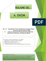 Metabolisme - Enzim Pertemuan 1 - Copy - PPTM