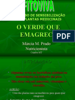 O VERDE QUE EMAGRECE